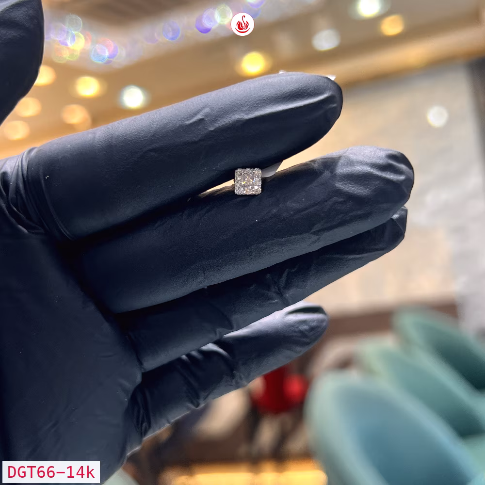 Men Diamond Earrings - DGT66