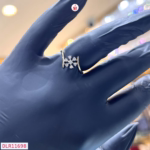 DLR11698 1 small