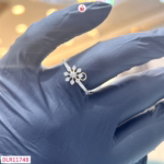 DLR11748 1 small