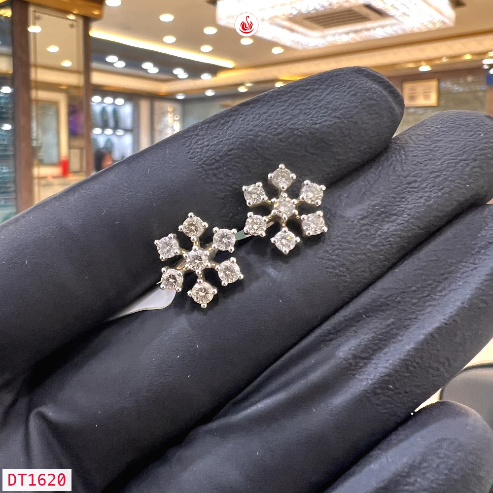 Women Diamond Earrings - DT1620