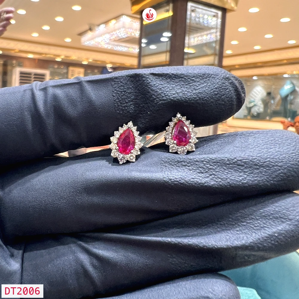 Women Diamond Earrings - DT2006