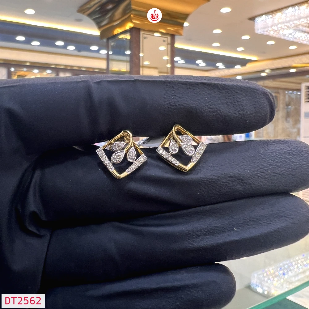 Women Diamond Earrings - DT2562