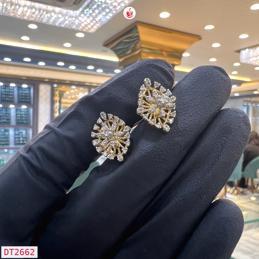 Women Diamond Earrings - DT2662