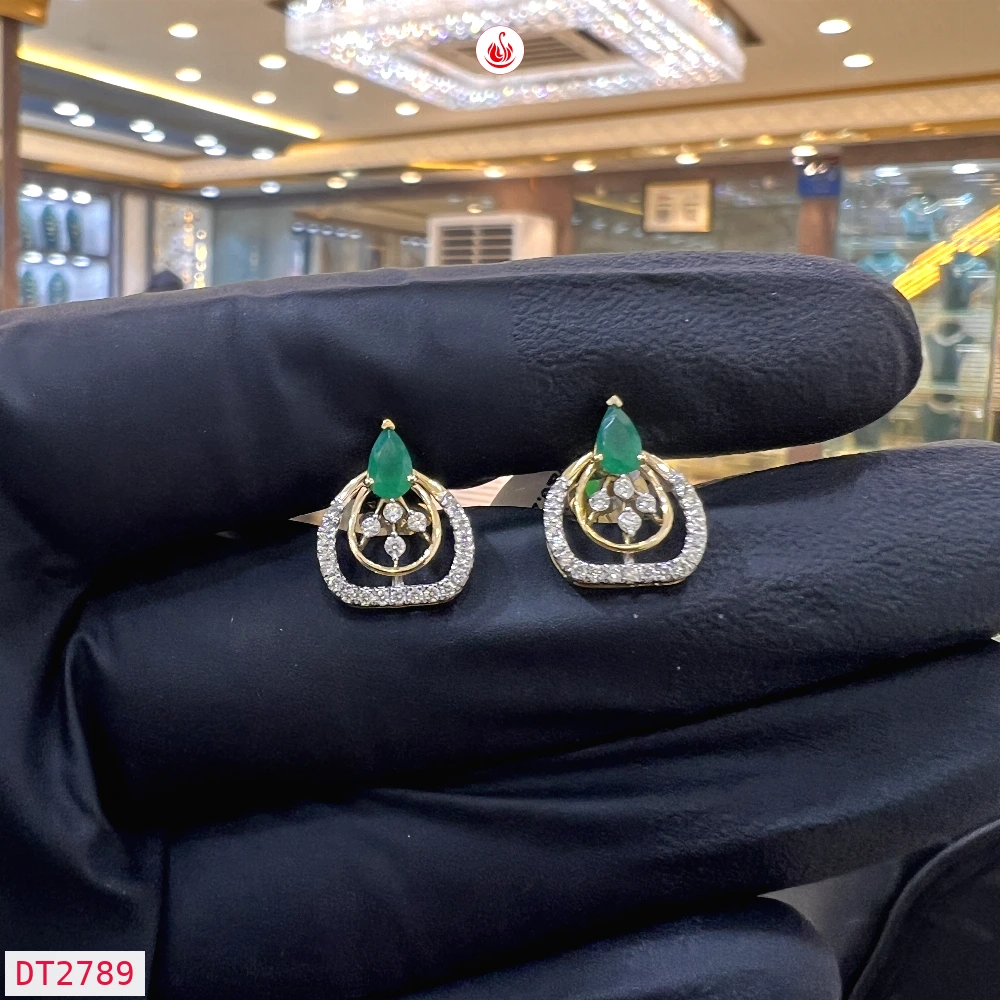 Women Diamond Earrings - DT2789