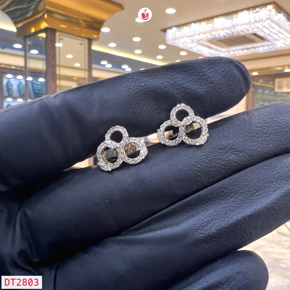 Women Diamond Earrings - DT2803