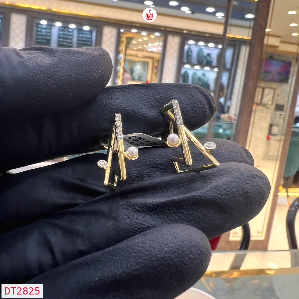 Women Diamond Earrings - DT2825