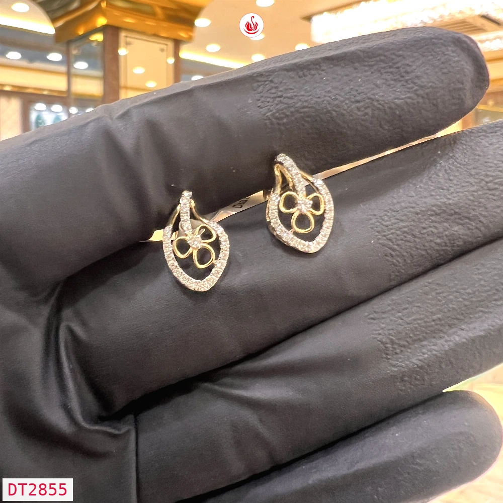 Women Diamond Earrings - DT2855