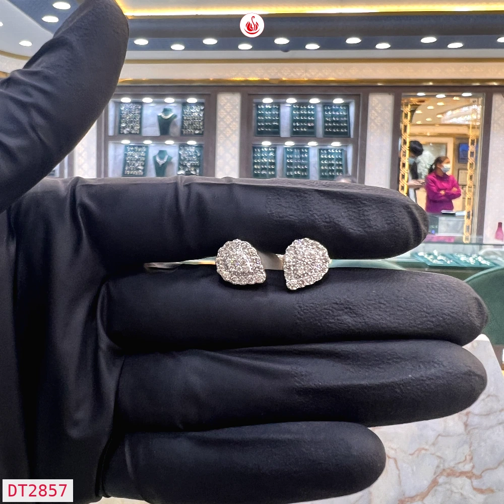 Women Diamond Earrings - DT2857