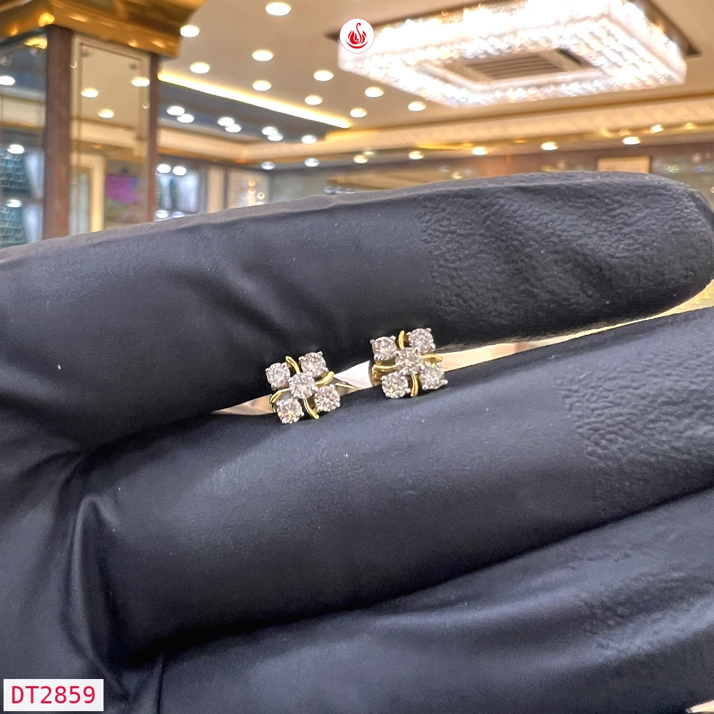 Women Diamond Earrings - DT2859