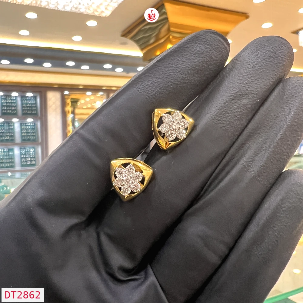 Women Diamond Earrings - DT2862