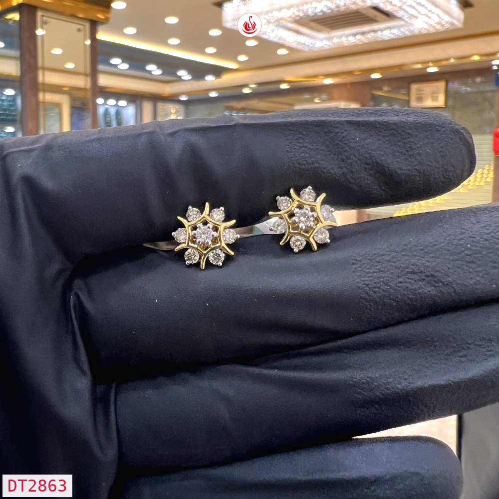 Women Diamond Earrings - DT2863