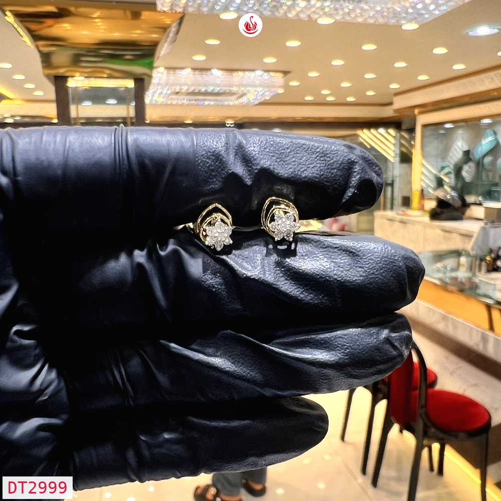 Women Diamond Earrings - DT2999