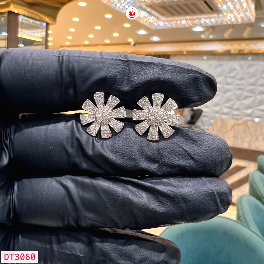 Women Diamond Earrings - DT3060
