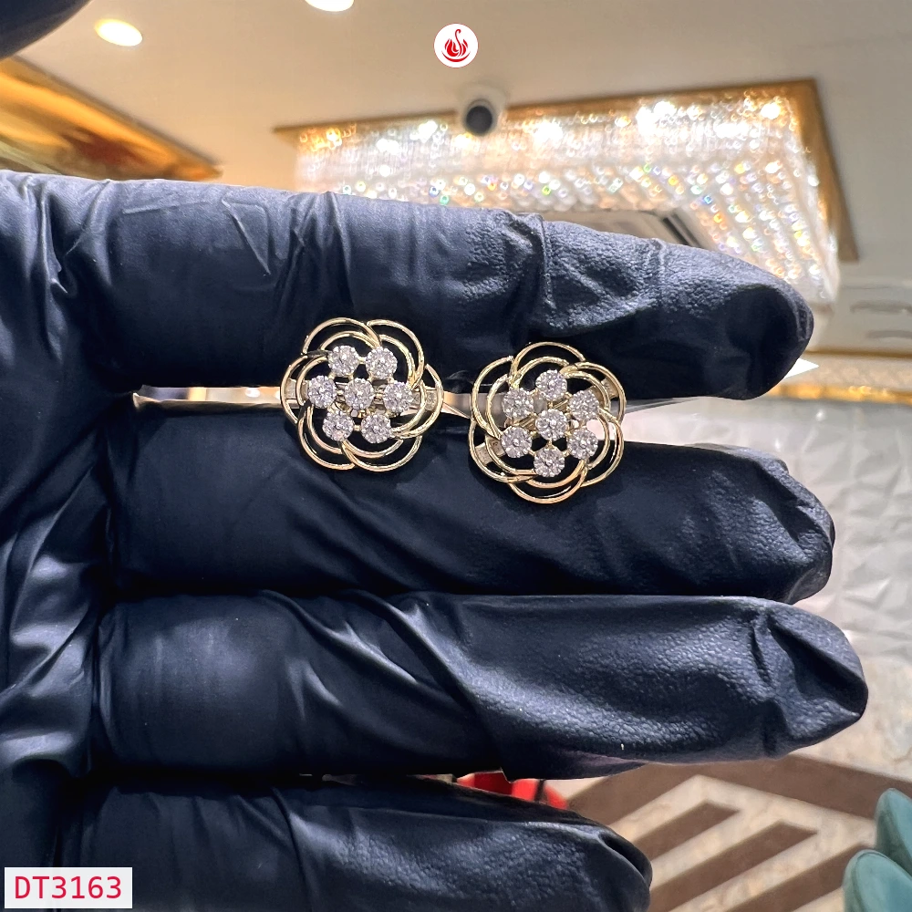 Women Diamond Earrings - DT3163
