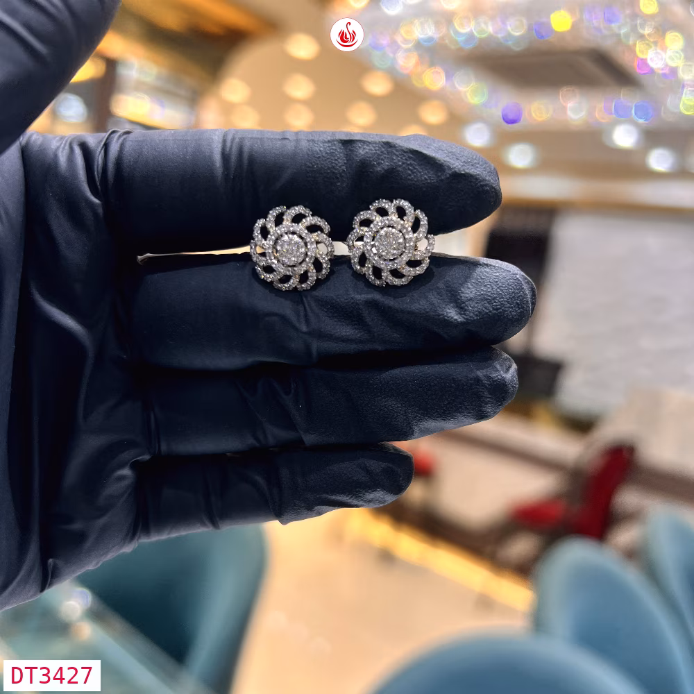 Women Diamond Earrings - DT3427