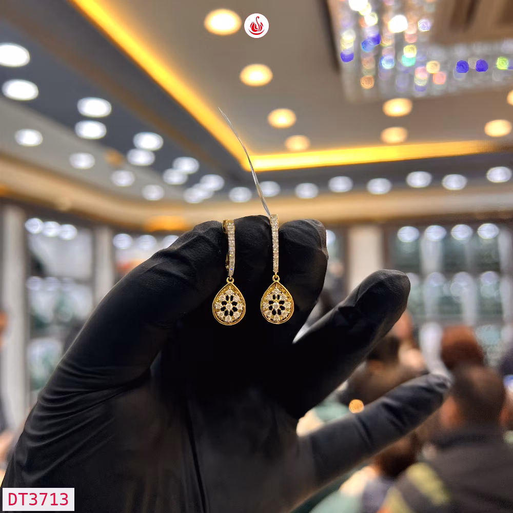 Women Diamond Earrings - DT3713