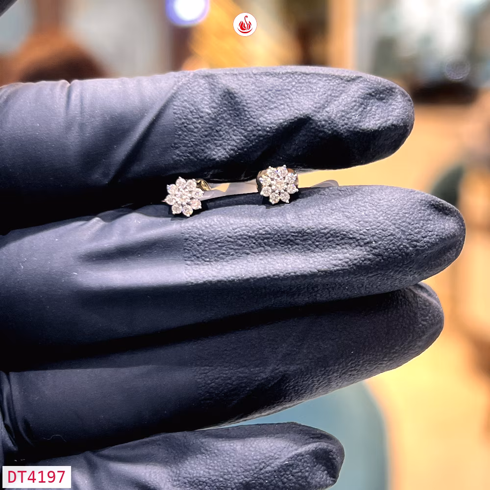 Women Diamond Earrings - DT4197