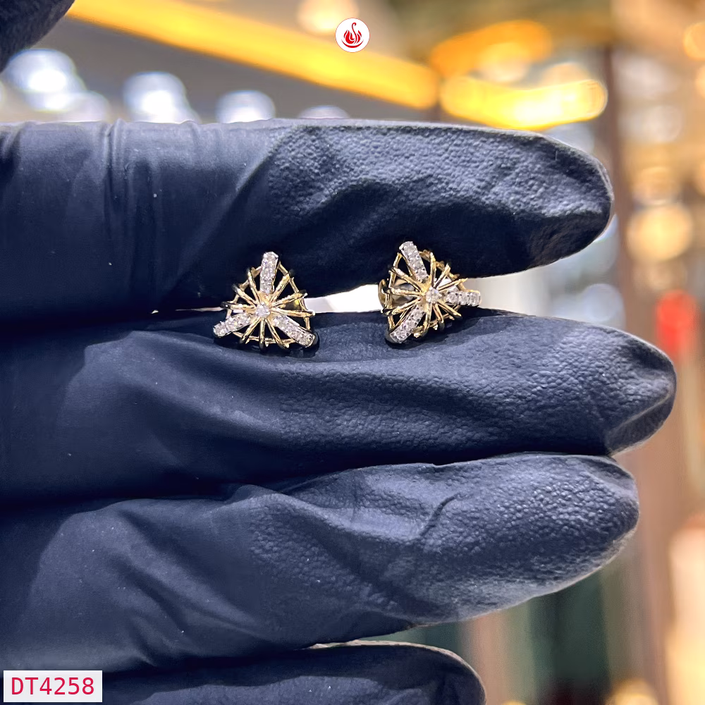 Women Diamond Earrings - DT4258