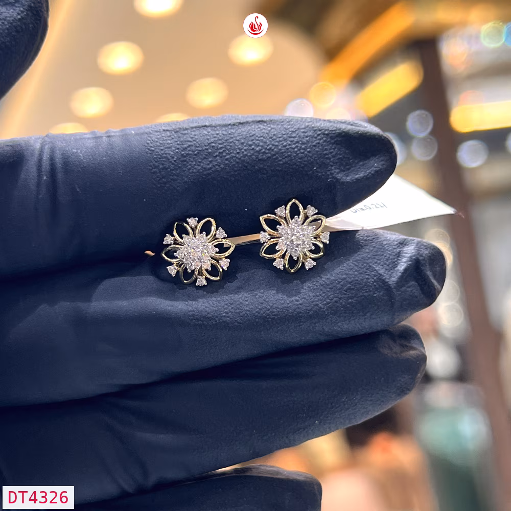 Women Diamond Earrings - DT4326