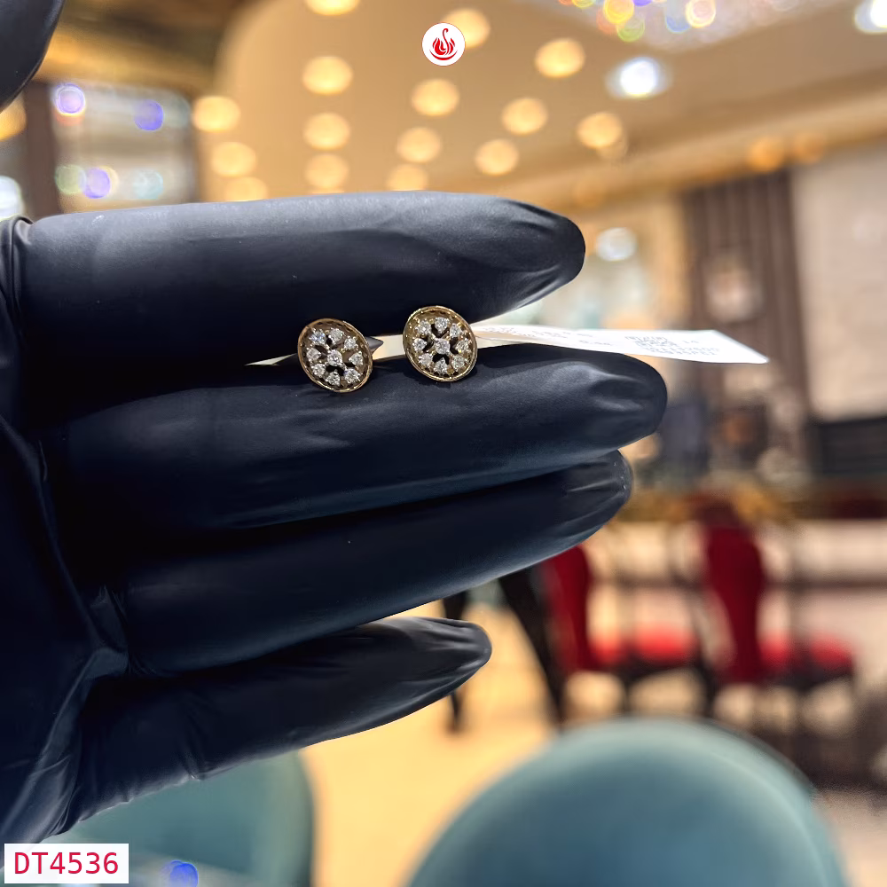 Women Diamond Earrings - DT4536