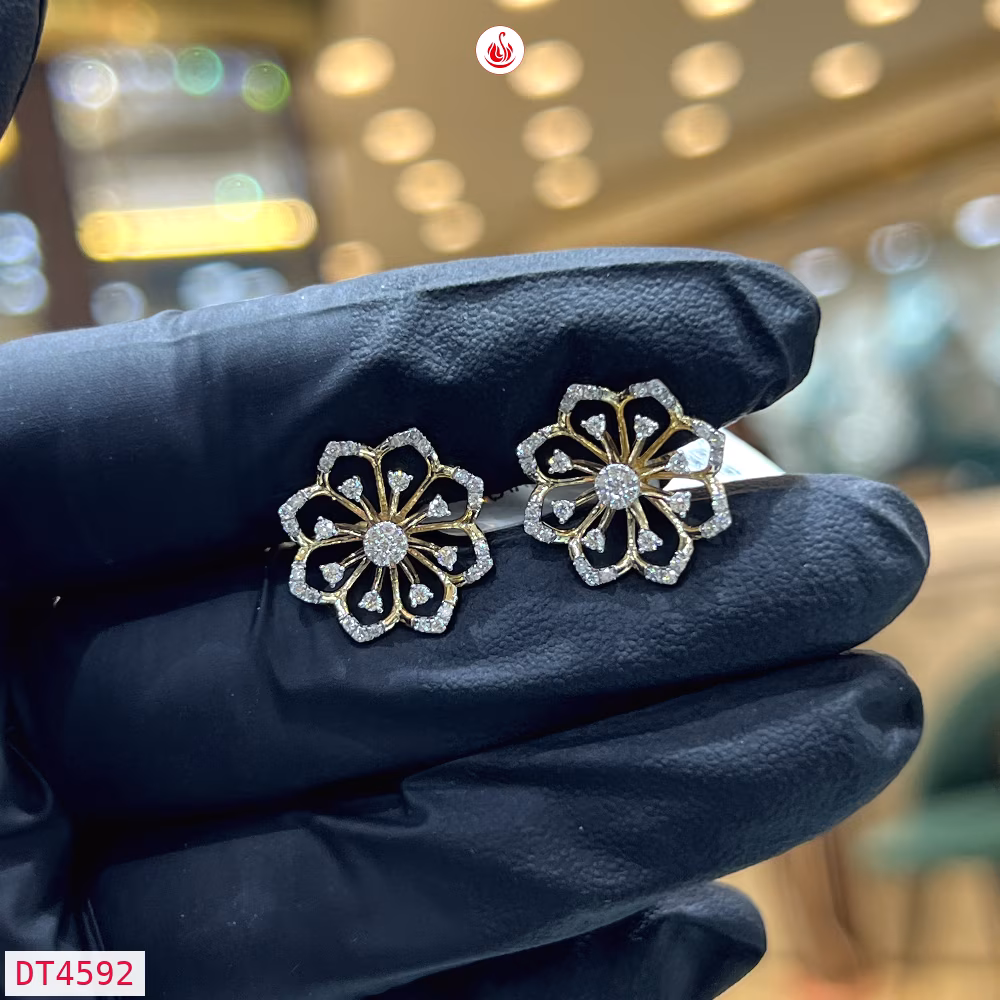 Women Diamond Earrings - DT4592