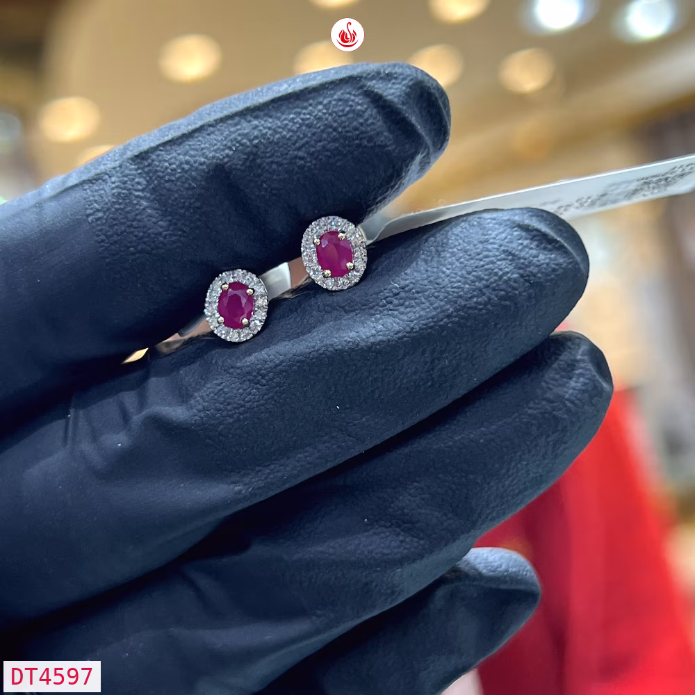 Women Diamond Earrings - DT4597