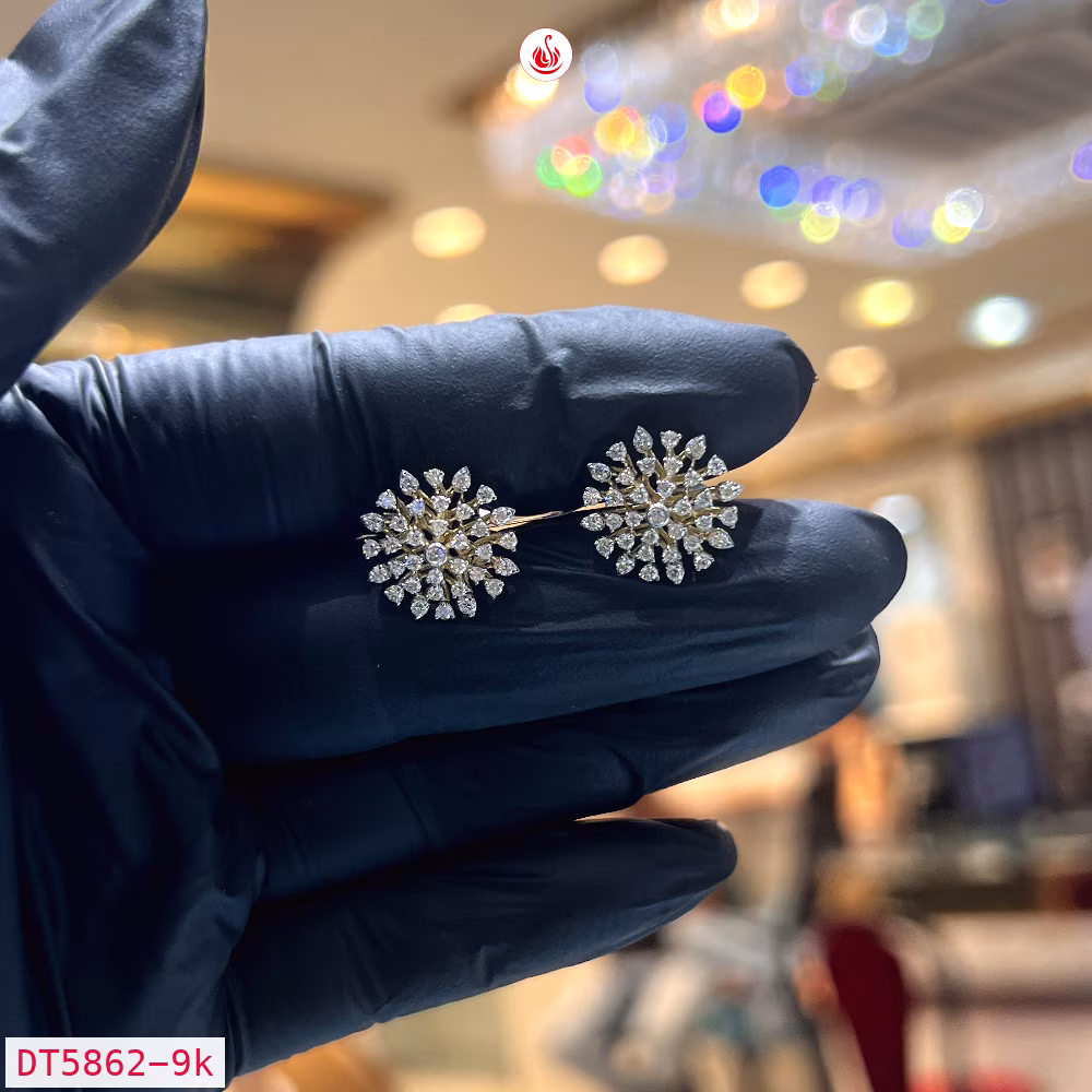 Women Diamond Earrings - DT5862