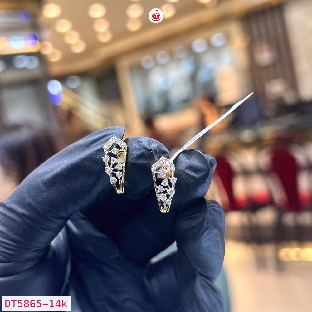 Women Diamond Earrings - DT5865