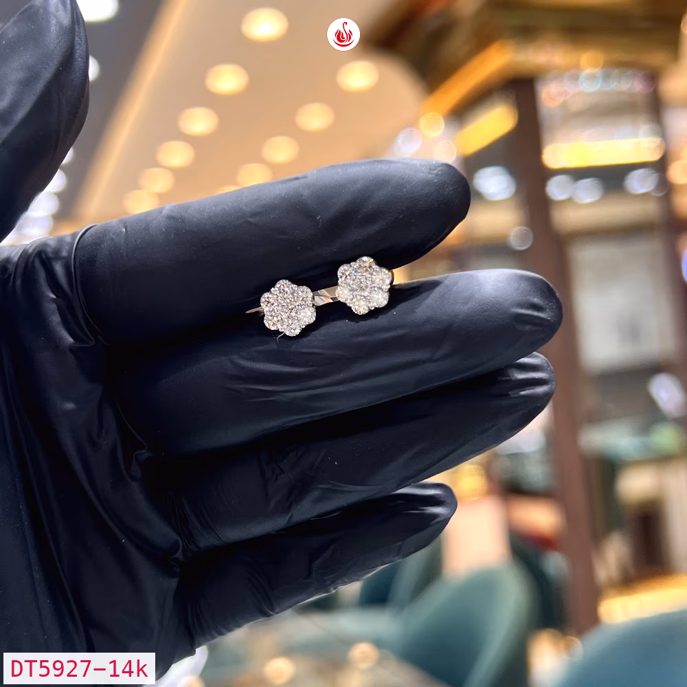 Women Diamond Earrings - DT5927