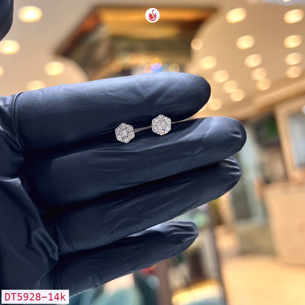 Women Diamond Earrings - DT5928