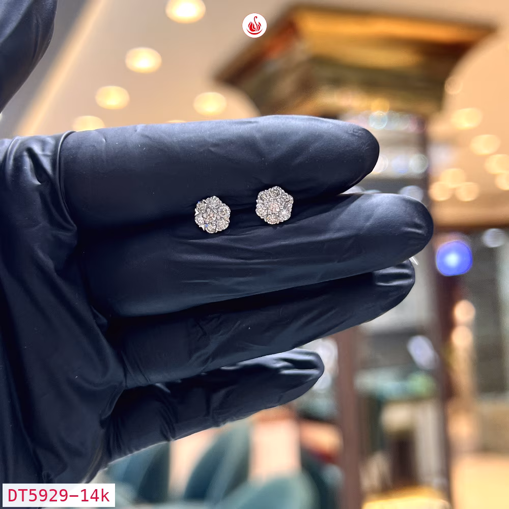 Women Diamond Earrings - DT5929