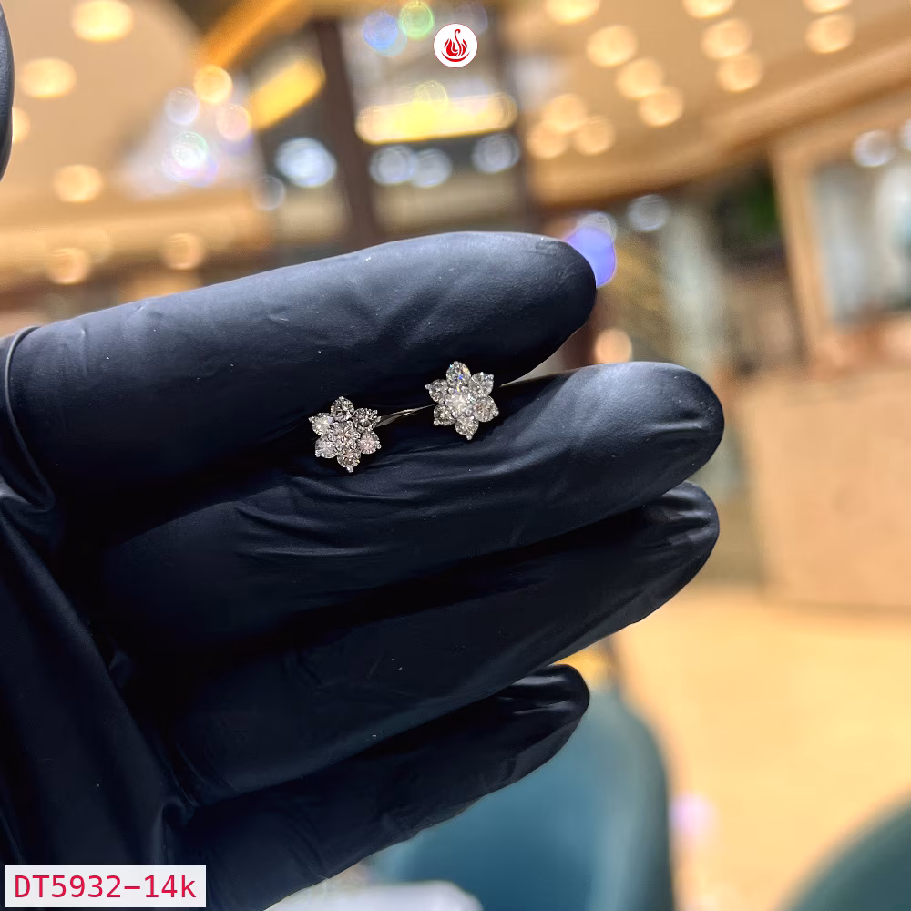 Women Diamond Earrings - DT5932