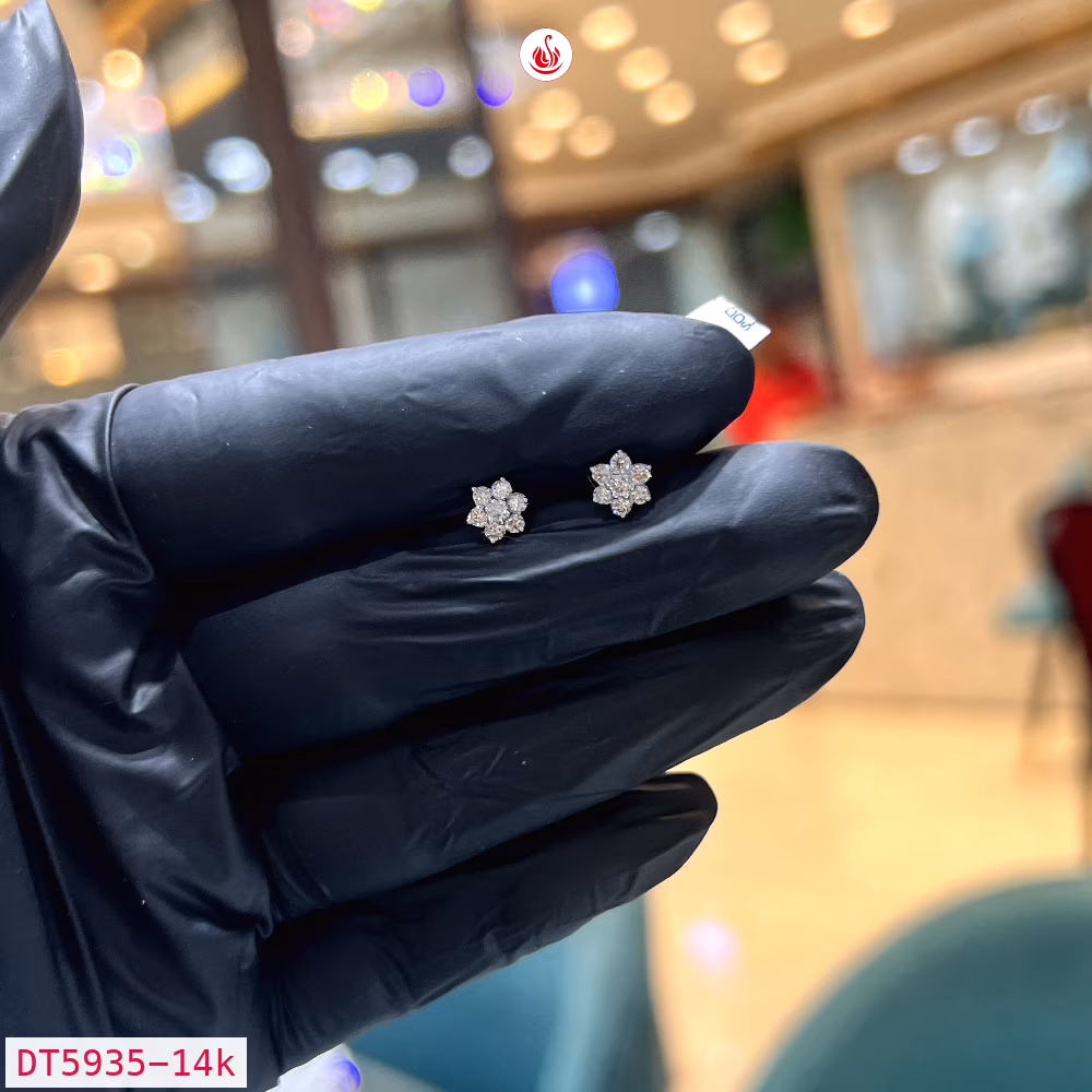 Women Diamond Earrings - DT5935